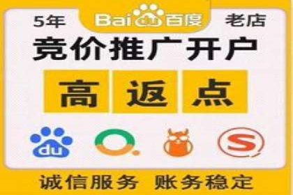 掌握sem推广竞价技巧，打造高效广告策略