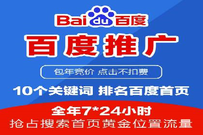 行业领先企业的SEM广告投放策略案例
